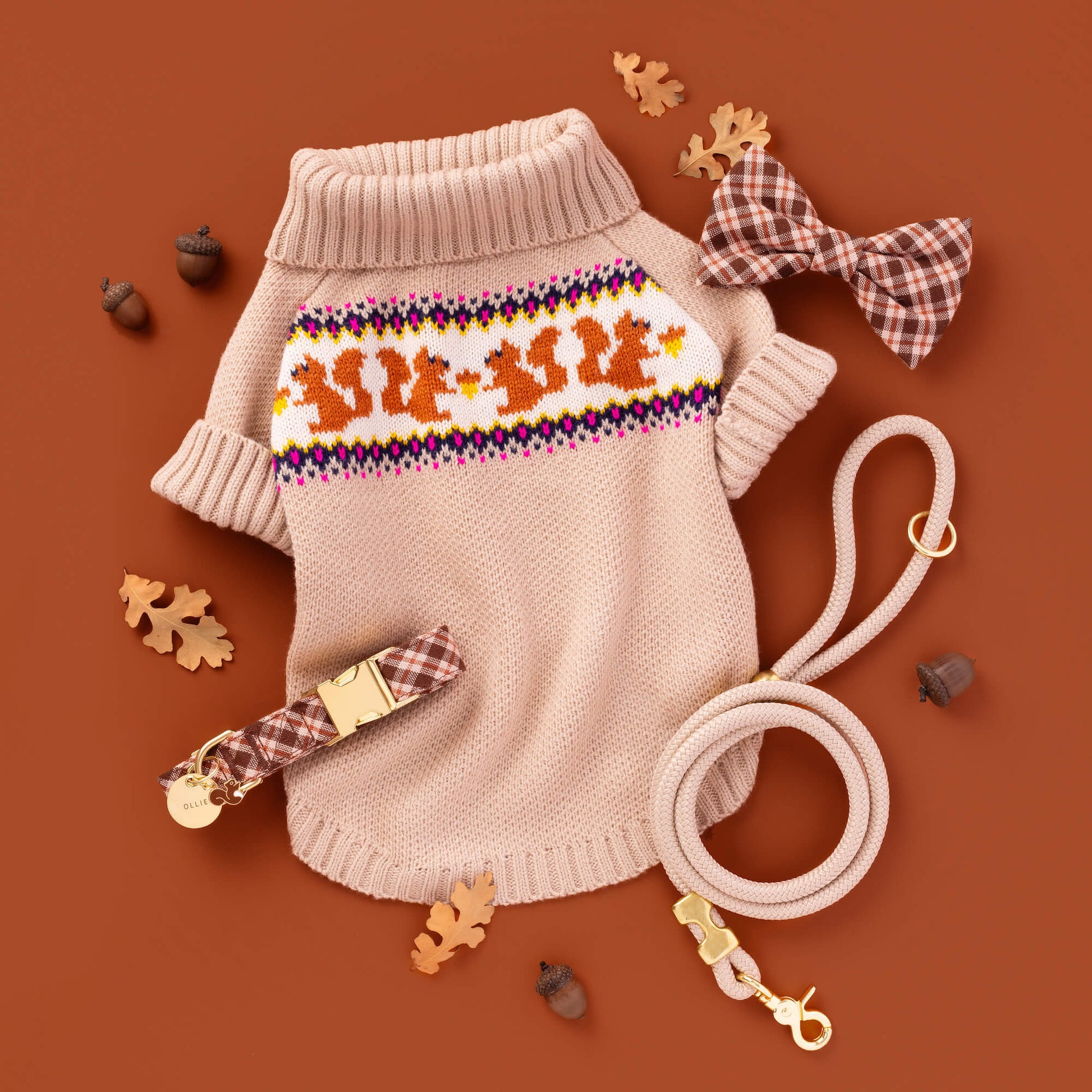 Circle Pet ID Tag