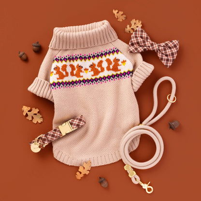 Circle Pet ID Tag