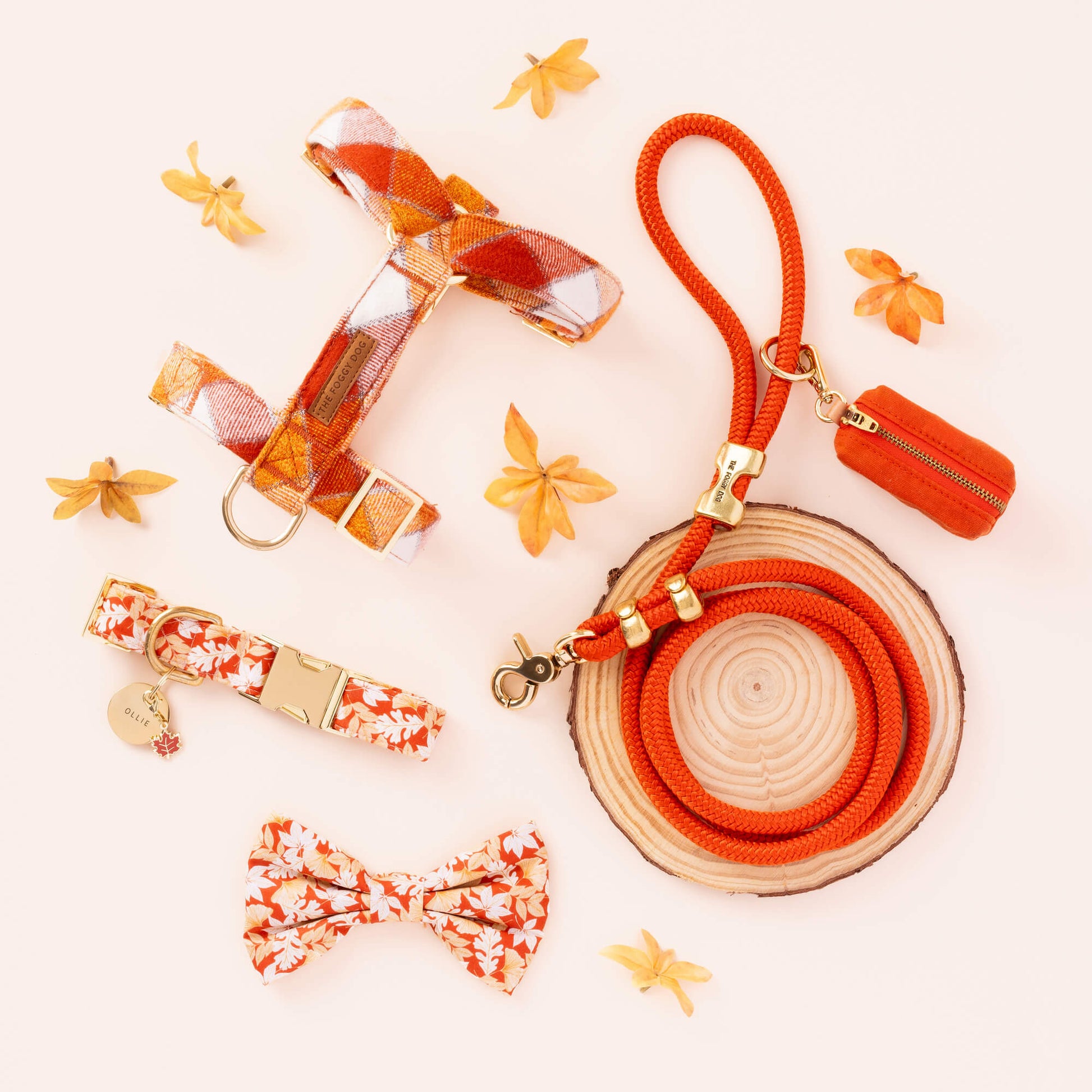 Circle Pet ID Tag