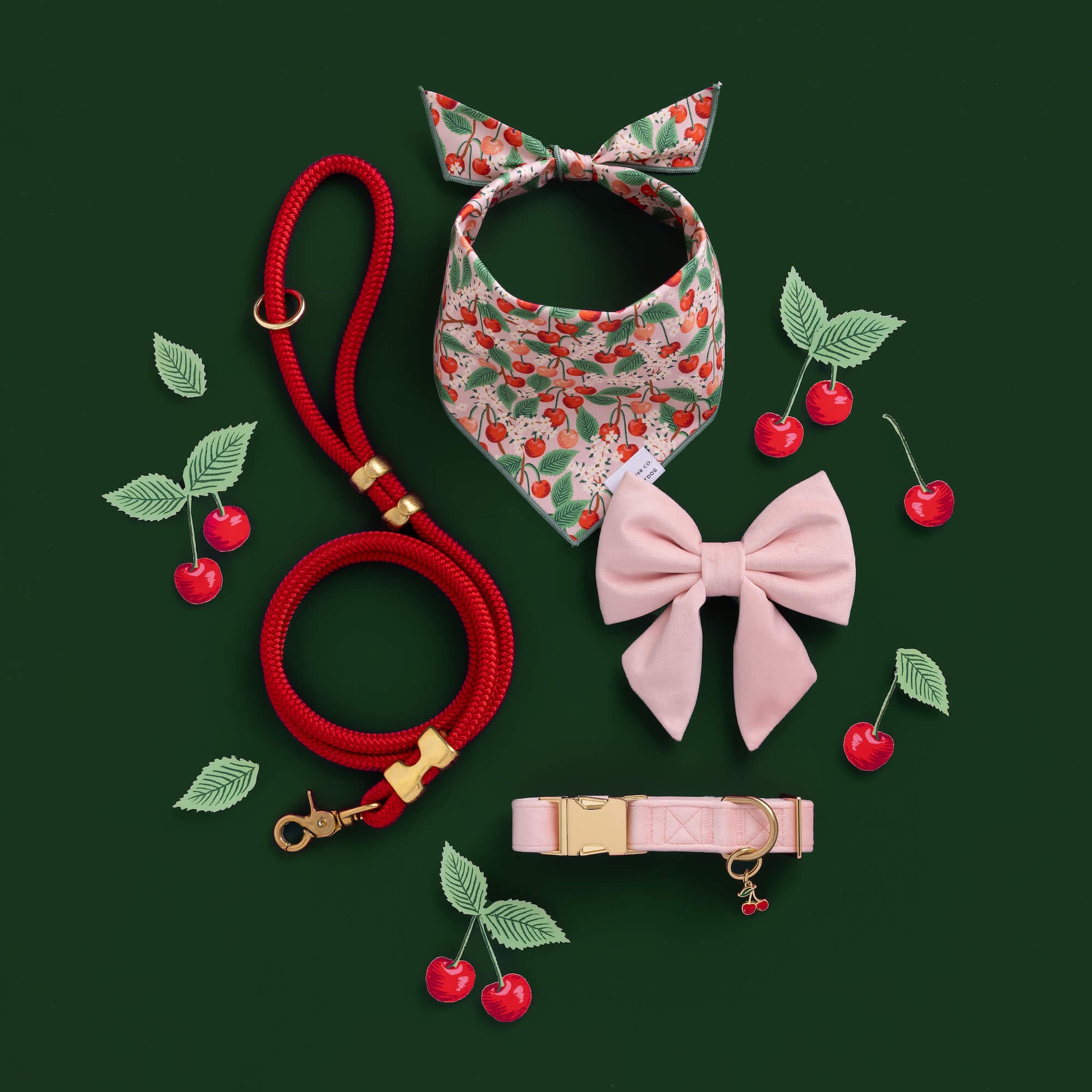 Blush Pink Velvet Lady Bow Collar