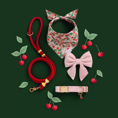Ruby Marine Rope Dog Leash