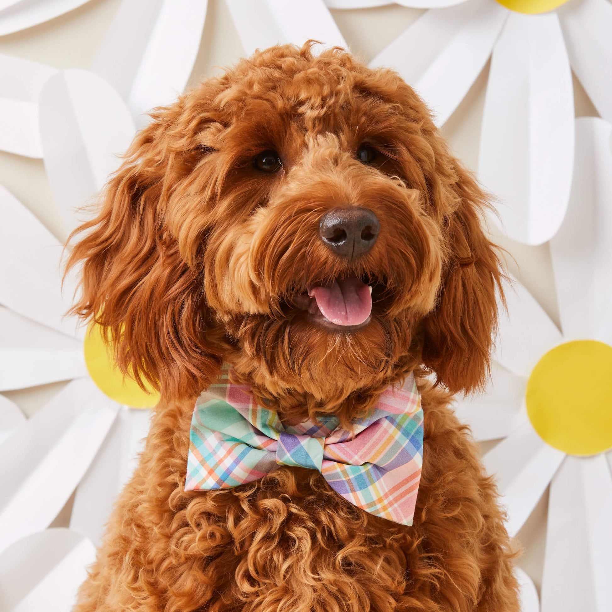 Blooming Plaid Bow Tie Collar