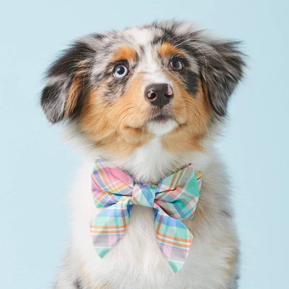 Blooming Plaid Lady Bow Collar