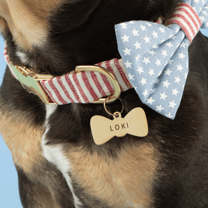 Bow Tie Pet ID Tag