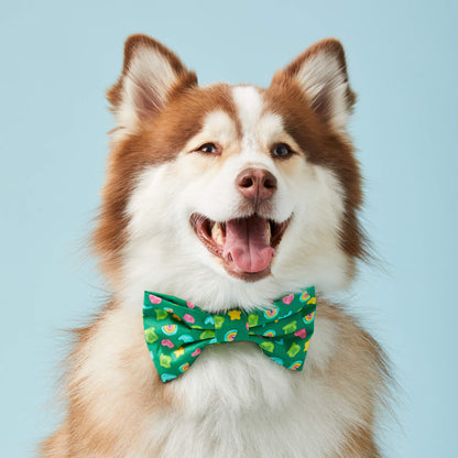 Charmed Bow Tie Collar