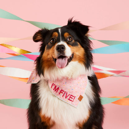Sprinkles Dog Bandana