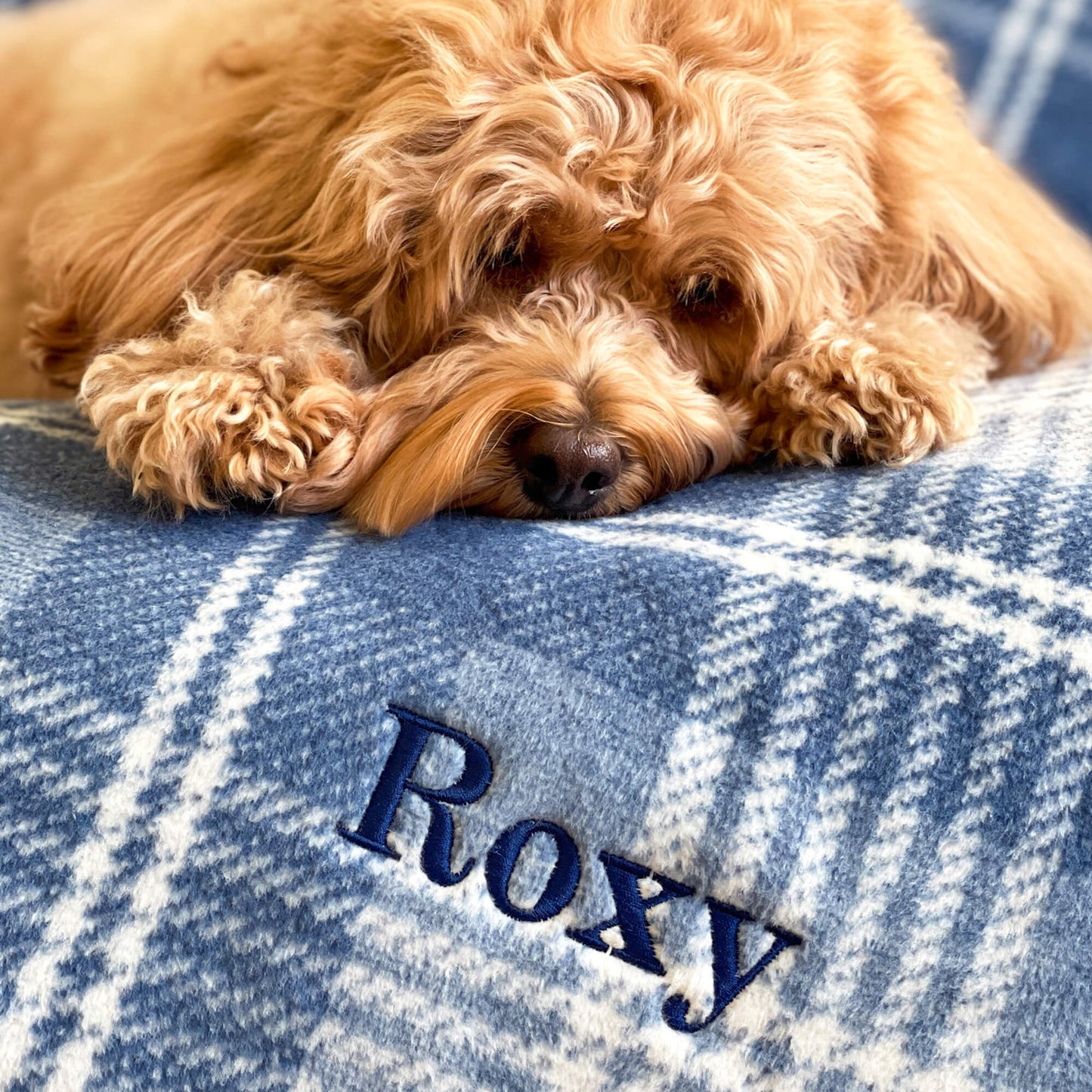 ChappyWrap Harborview Herringbone Blush Dog Blanket