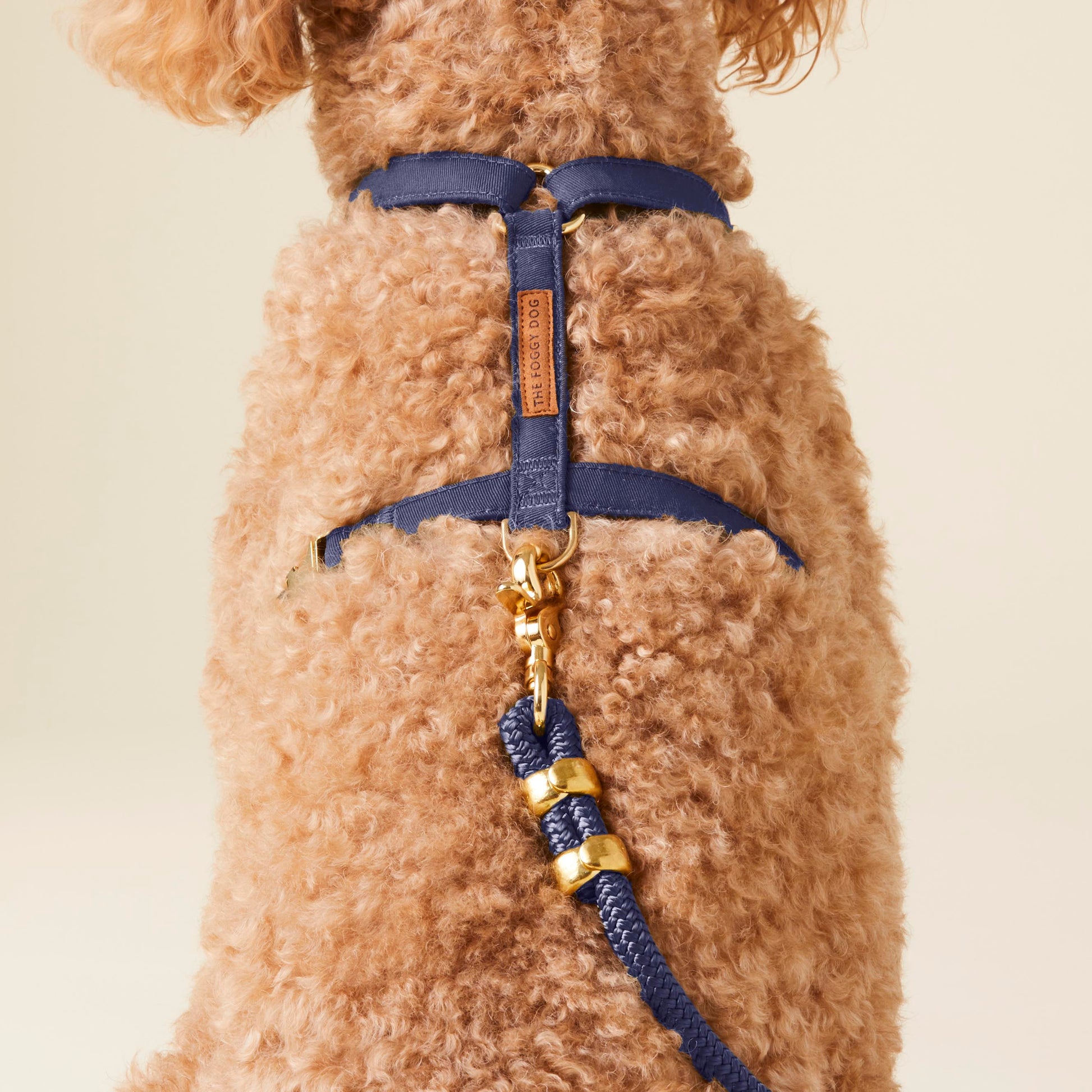 Ocean Dog Harness