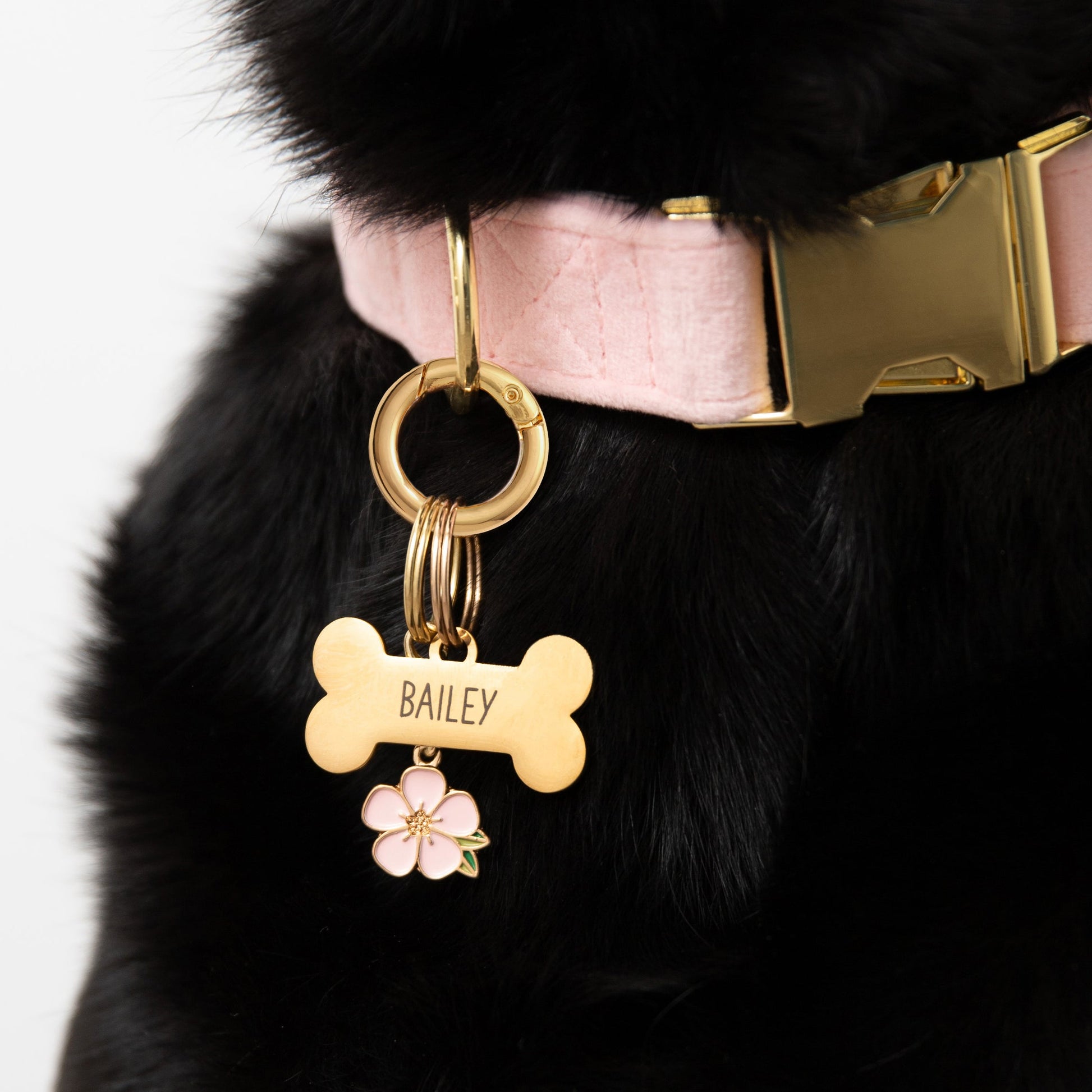 Cherry Blossom Collar Charm Set