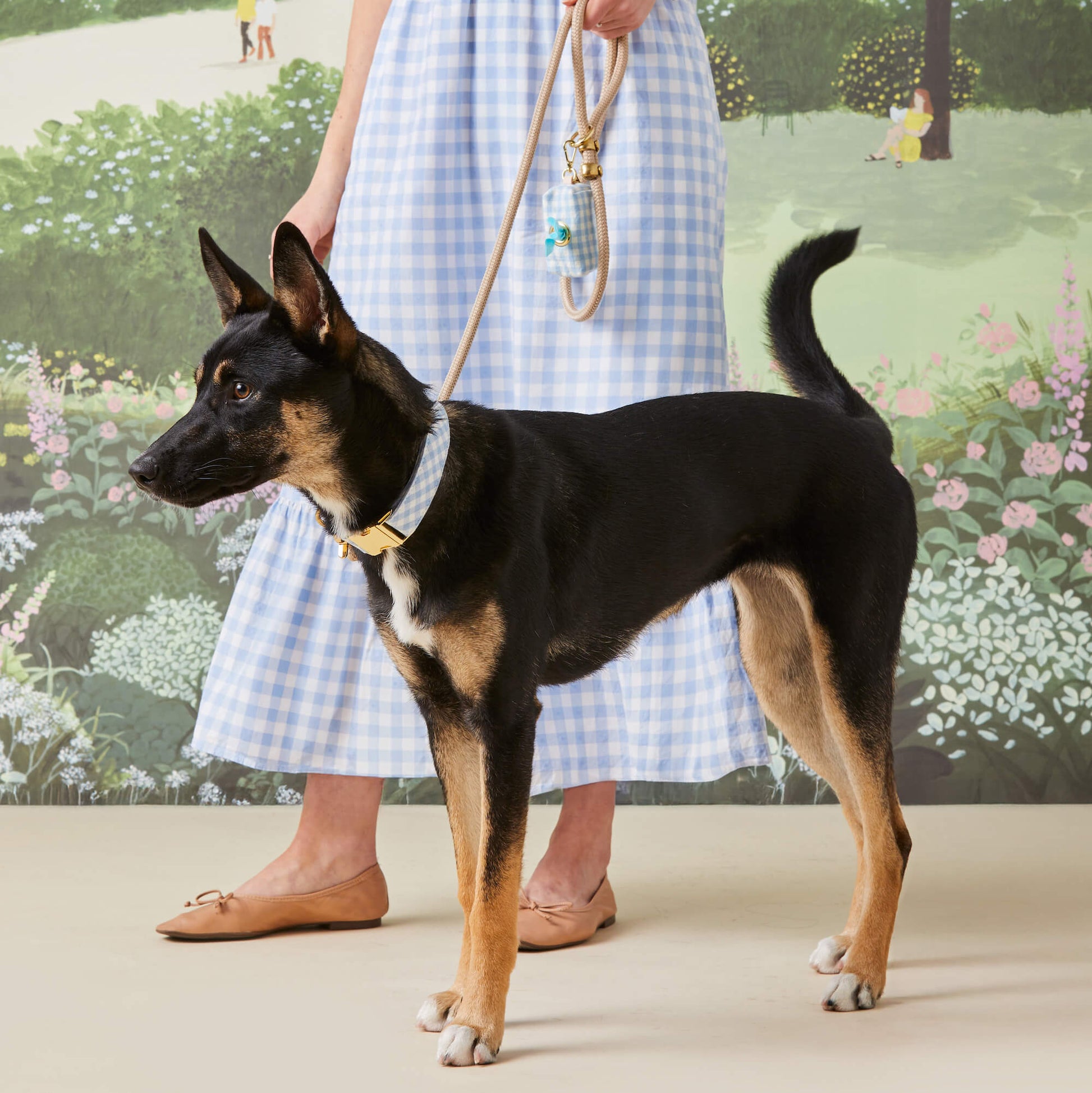 Sky Blue Gingham Collar Walk Set