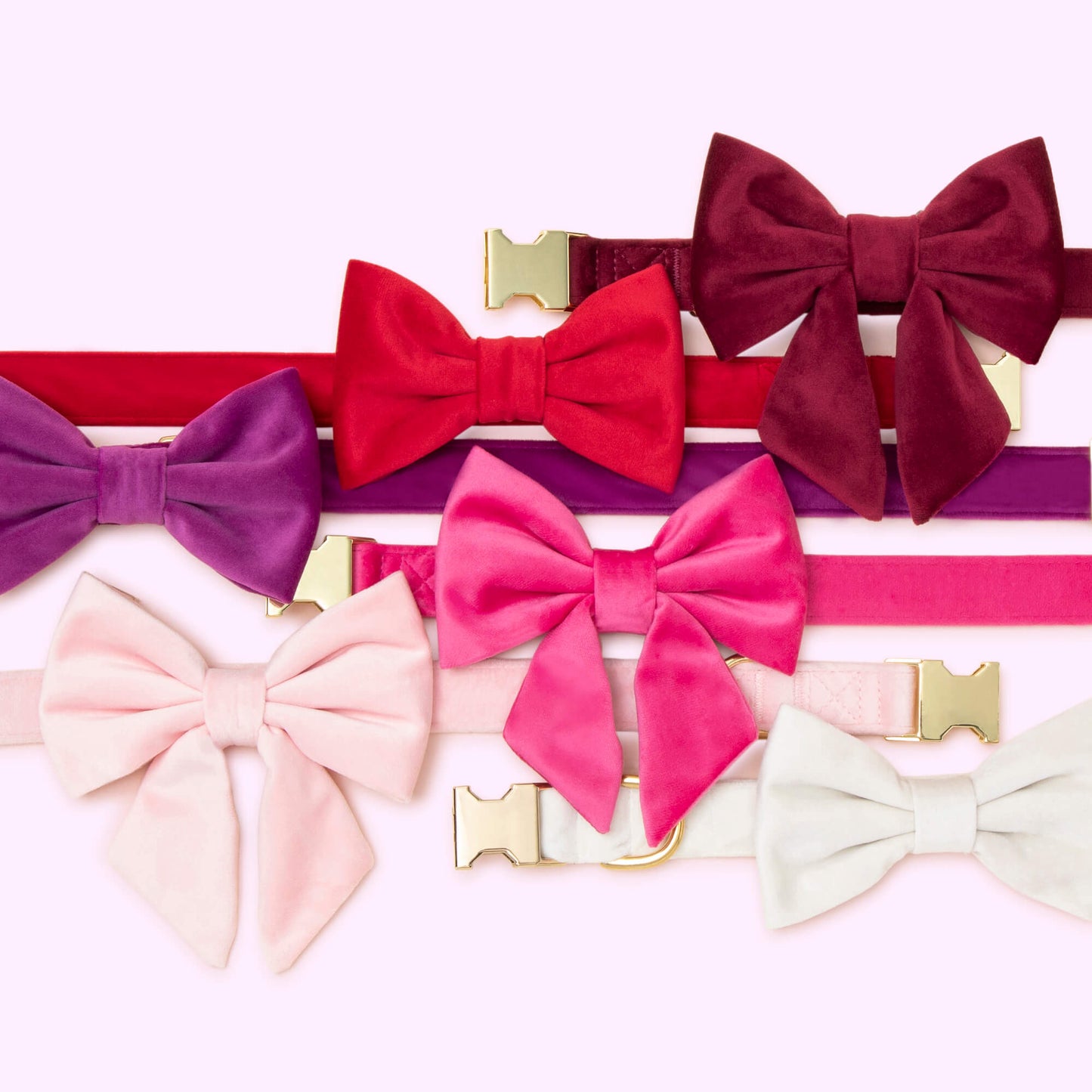 Ivory Velvet Bow Tie Collar