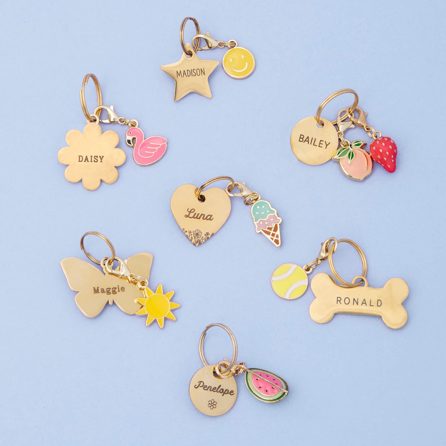 Circle Pet ID Tag