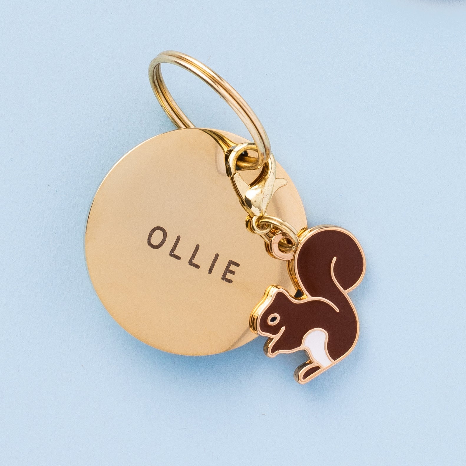 Circle Pet ID Tag