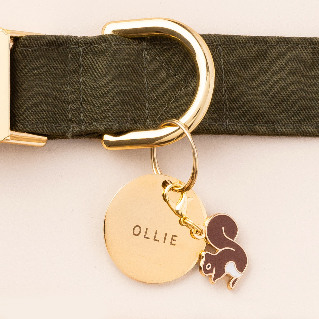 Circle Pet ID Tag