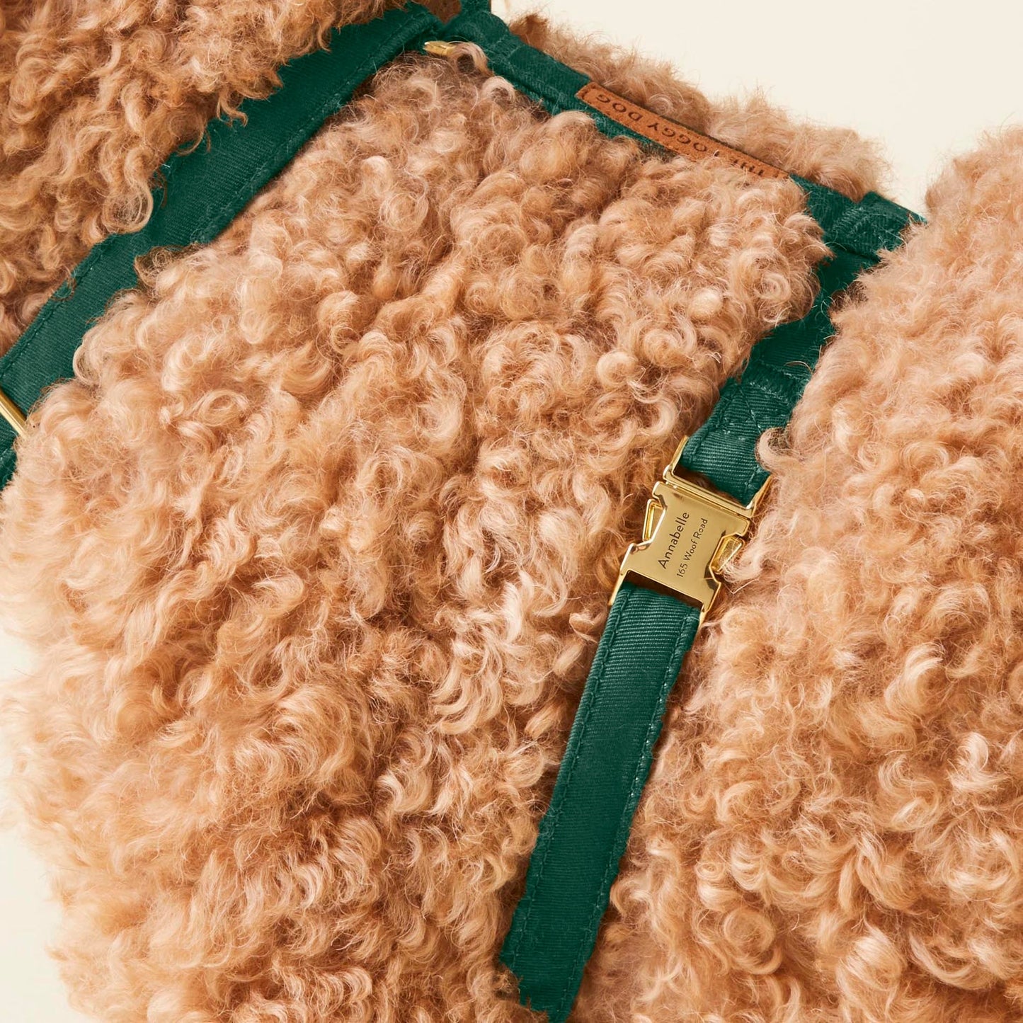 Evergreen Dog Harness