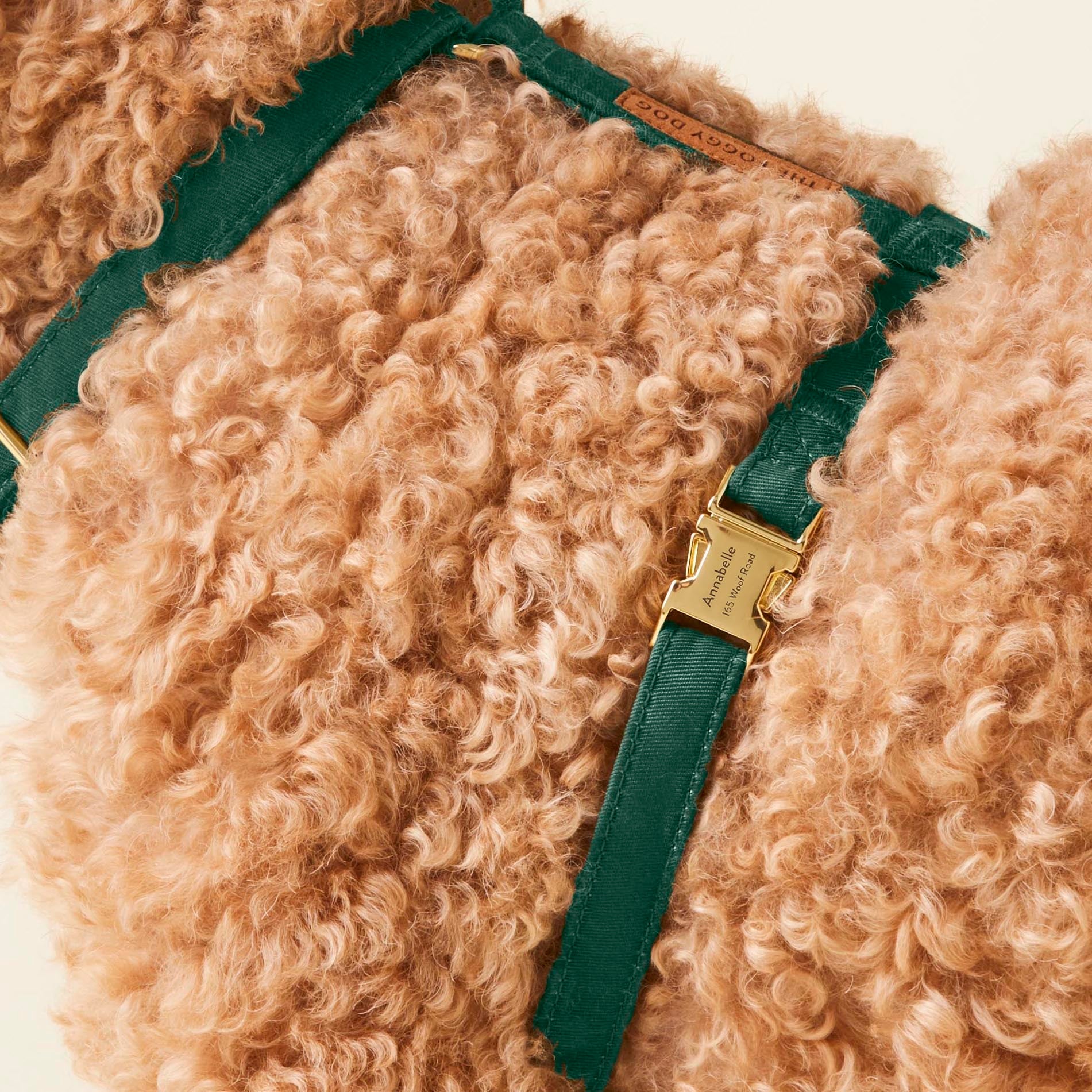 Evergreen Dog Harness