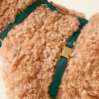 Evergreen Dog Harness