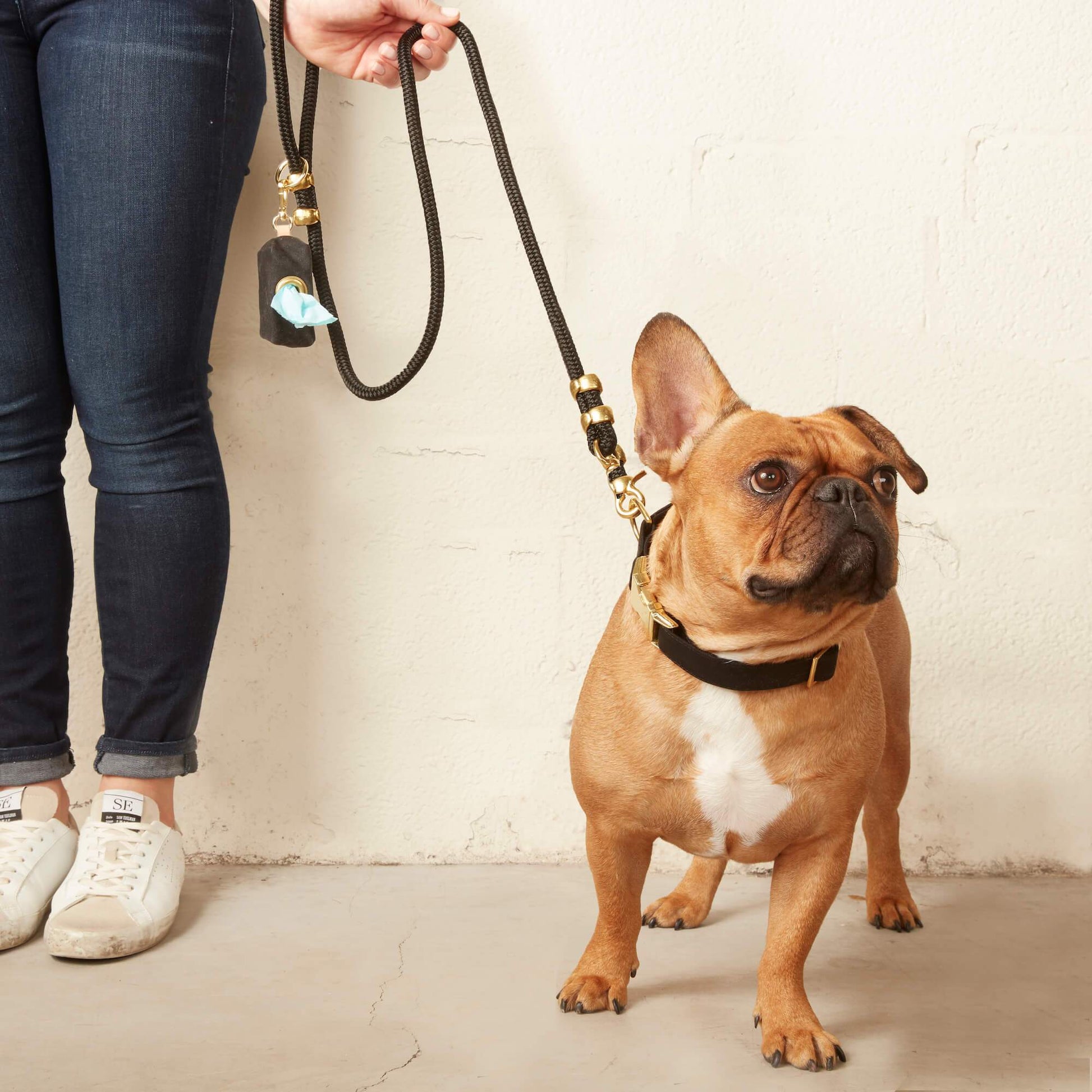 Onyx Collar Walk Set